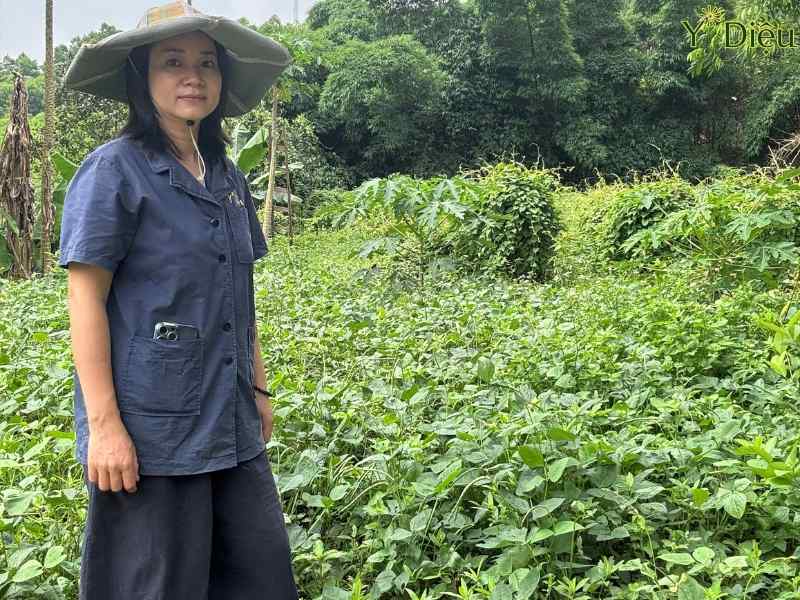 Xem Ảnh Lớn
