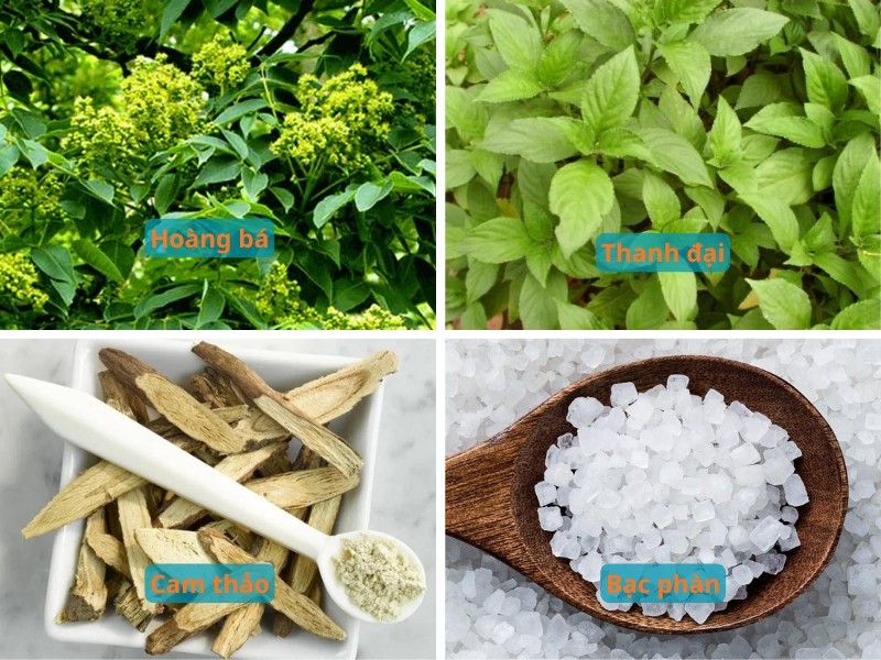 Những thảo dược tự nhiên có thể ức chế và điều trị nấm lưỡi