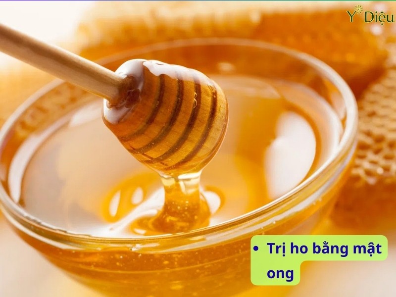 Ngâm rễ bạch môn với mật ong làm tăng tác dụng trị ho