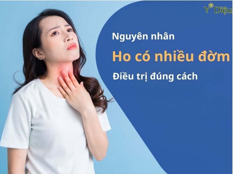Thuốc ho long đờm làm giảm độ nhớt và phá vỡ cấu trúc của chất nhầy.