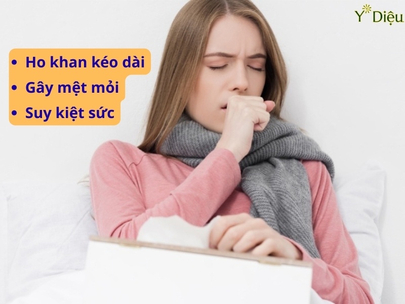 Tỳ bà điệp hỗ trợ điều trị ho khan kéo dài