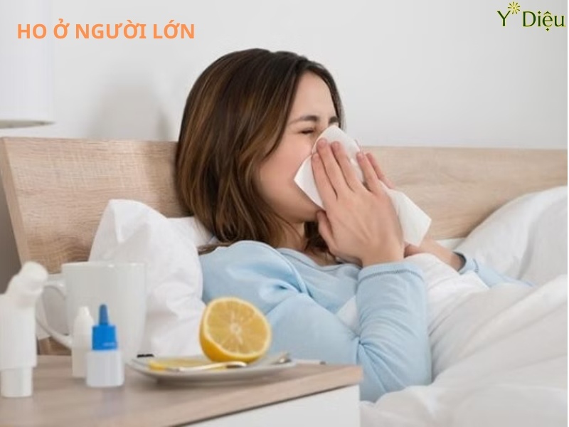 Nước ép dứa có nhiều chất giúp cải thiện cơn ho hiêu quả