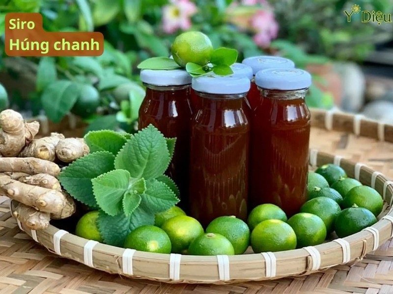 Siro giảm ho Hoạt Húng Chanh