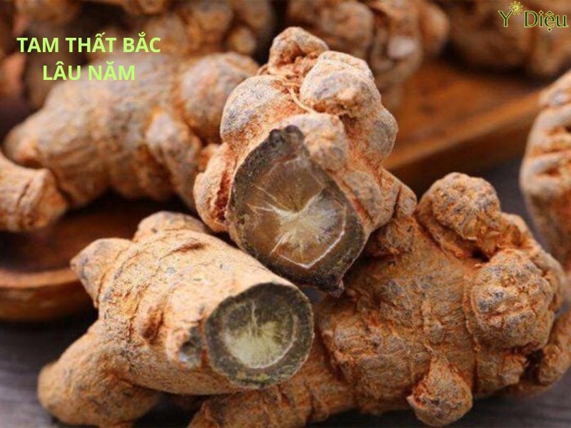 Tam thất càng lâu năm càng có dược tính cao