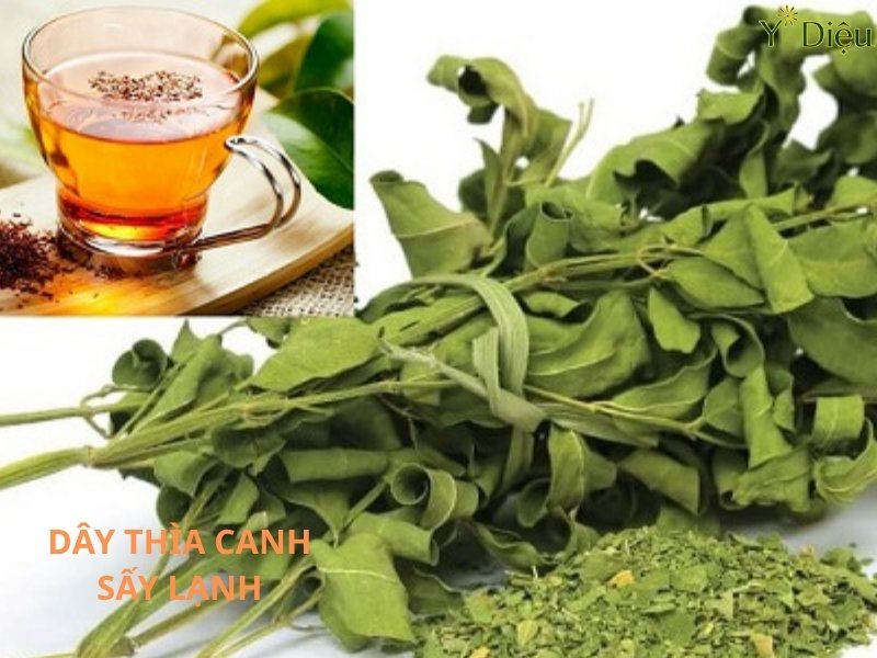 Dây Thìa Canh Khô, Công Dụng Nổi Bật Trong Y Học Cổ Truyền